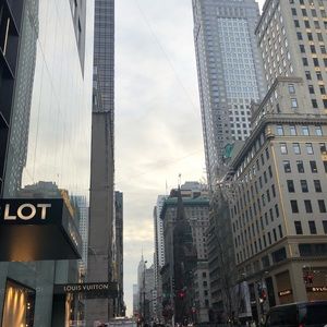 Meet your Posher, Jane